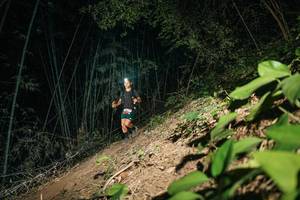 BIB: 
                            <button type="button" onclick="openModal(28144935)" class="btn btn-primary btn-sm float-right btn-popup" data-toggle="modal" data-target=".modal-high-quality">
                        <i class="fas fa-shopping-cart"></i> Add to Cart
                    </button>
                                            <button type="button" onclick="isThisMe(28144935, true)" class="btn btn-success btn-sm float-right btn-popup btn-isme hidden" data-toggle="tooltip" data-placement="bottom" title="นี่คือรูปของคุณใช่ไหม คลิกที่นี่เพื่อเอาเข้าอัลบั้ม">
                        <i class="fas fa-plus"></i> Add to album
                    </button>
                    <button type="button" onclick="isThisMe(28144935, false)" class="btn btn-warning btn-sm float-right btn-popup btn-isnotme hidden">
                        <i class="fas fa-ban"></i> Remove from album
                    </button>